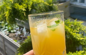 A Delicious Summer Mocktail Your Tummy Will Love FYXX Health